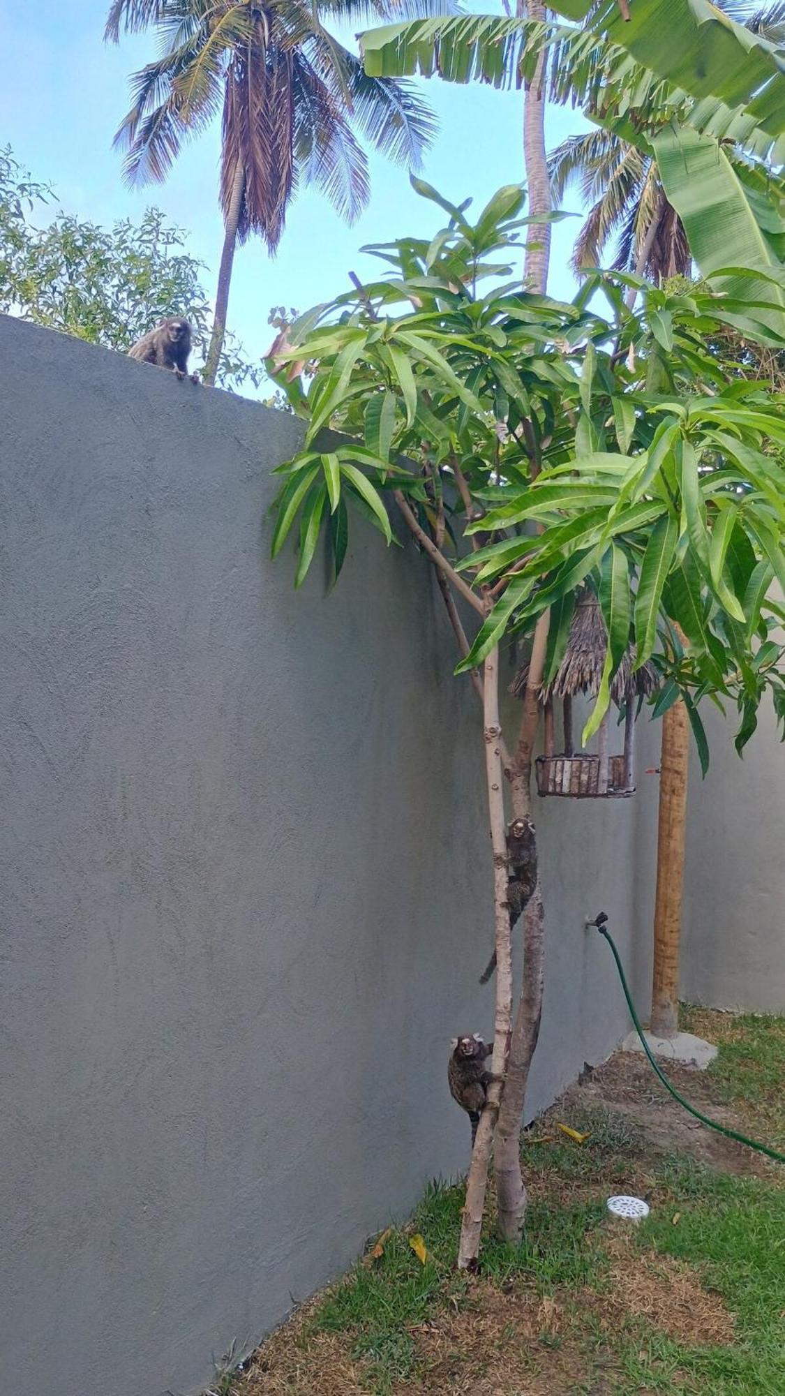 Casa Amendoeira - Porto De Sauipe Holiday home Salvador